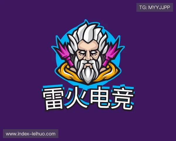 了解雷火电竞团队